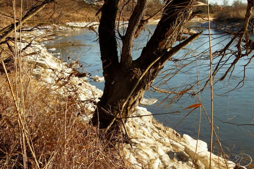 Циків з panoramio.com - Tsykiv