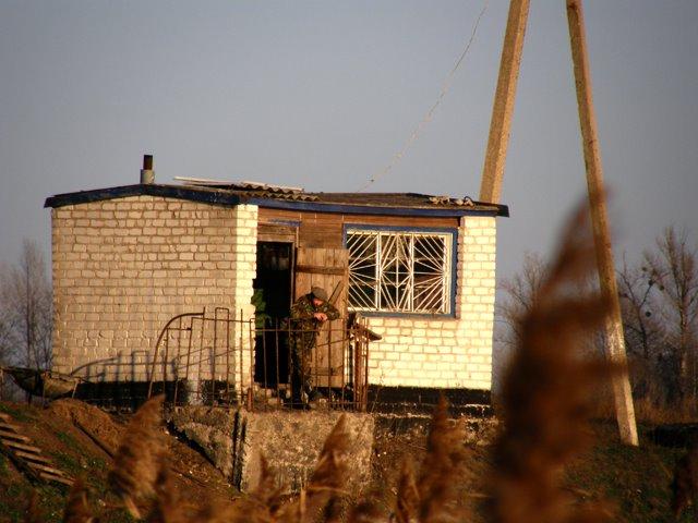 Новоселівка з panoramio.com - Новоселівка