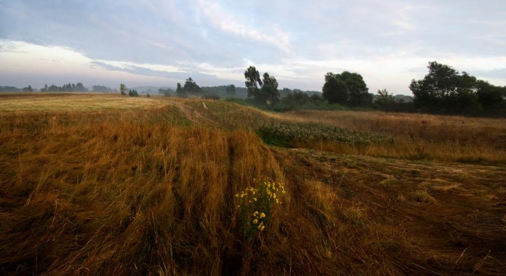 Велика Рибиця з panoramio.com - Velyka Rybytsya