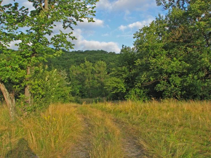 Балаклія з panoramio.com - Балаклія