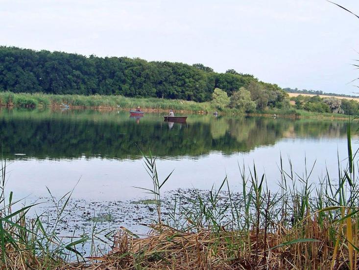Христофорівка з panoramio.com - Христофоровка