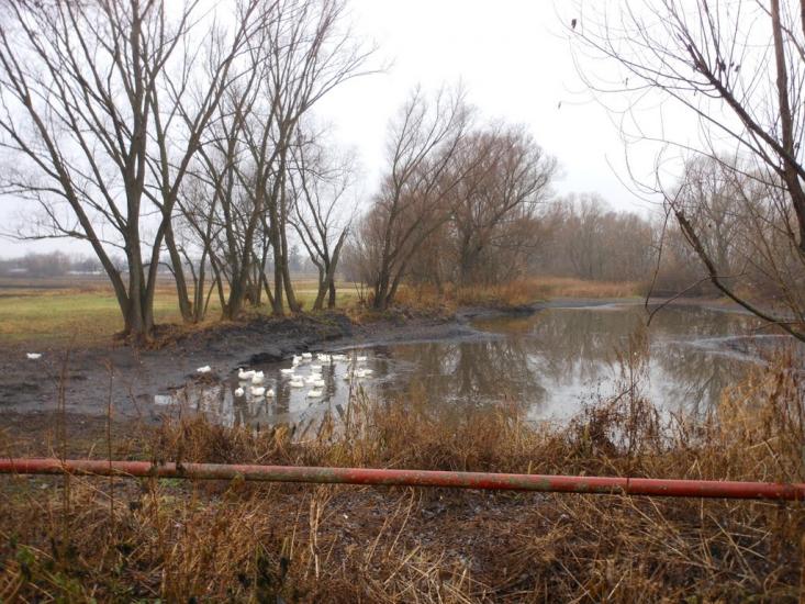 Успенка з panoramio.com - Успенка