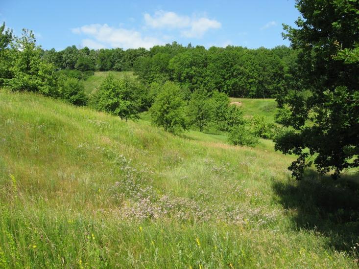 Вільшани з panoramio.com - Вільшани