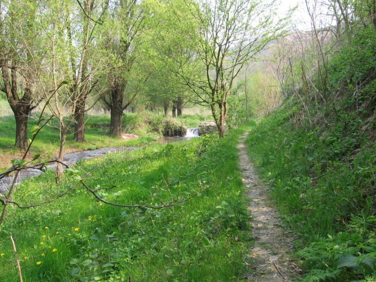 Загнітків з panoramio.com - Загнітків