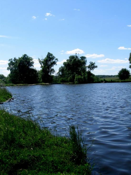 Стрілеча з panoramio.com - Стрілеча