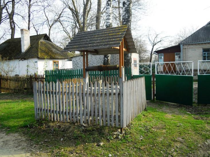 Сальниця з panoramio.com - Сальниця