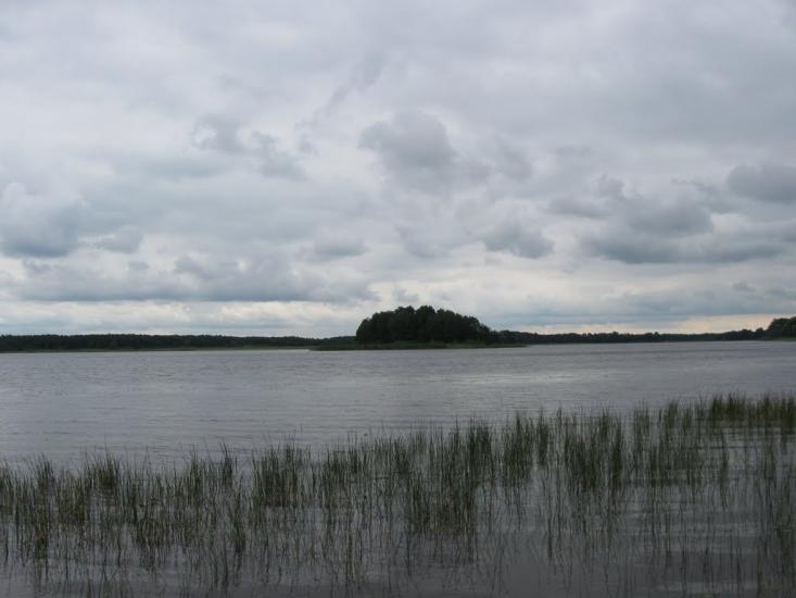 Мельники з panoramio.com - Мельники