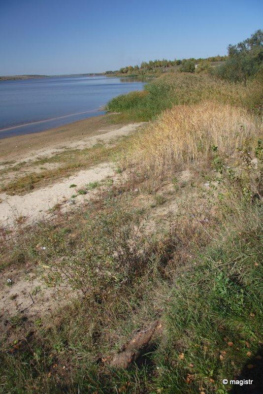 Липці з panoramio.com - Lyptsi