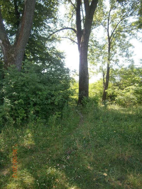 Берездівці з panoramio.com - Берездівці