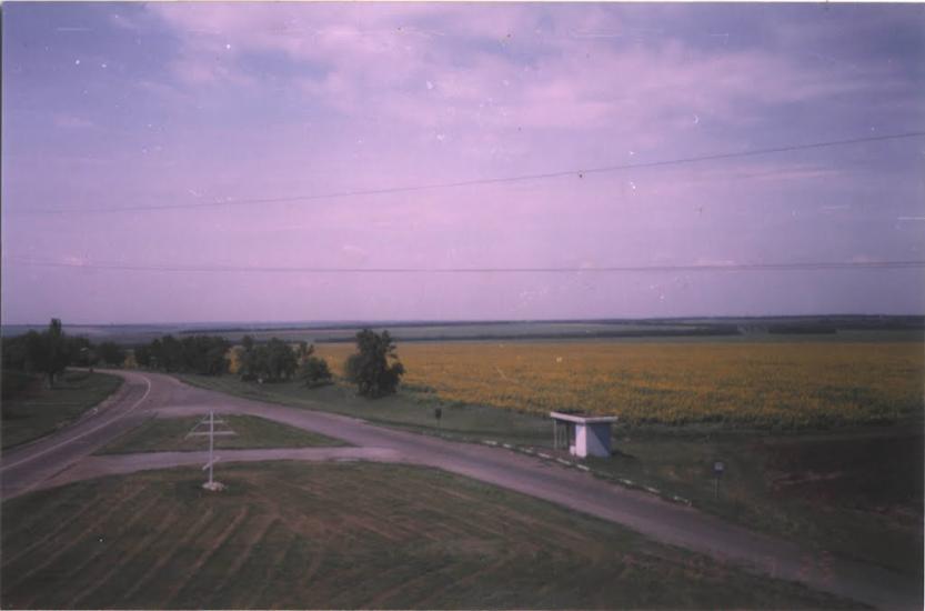 Конькове з panoramio.com - Коньково