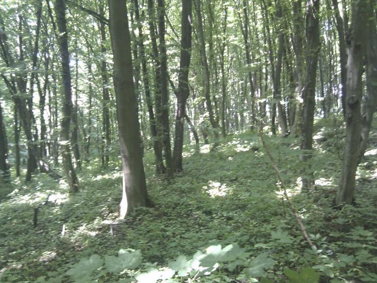 Ярмолинці з panoramio.com - Ярмолинцы
