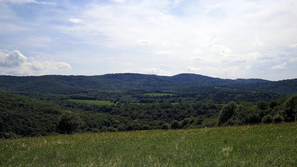 Забрідь з panoramio.com - Забродь