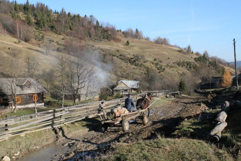 Карпатське з panoramio.com