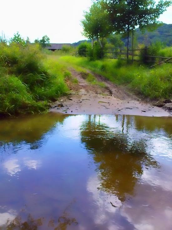 Фійна з panoramio.com - Фийна