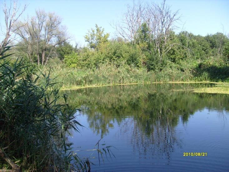 Співаківка з panoramio.com - Спеваковка