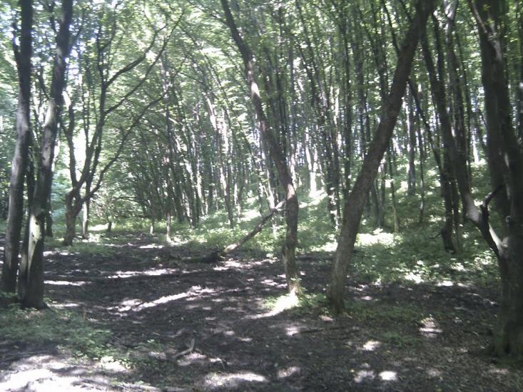 Ярмолинці з panoramio.com - Ярмолинцы