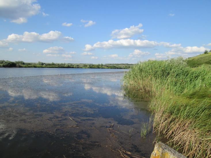 Єлизаветівка з panoramio.com - Єлизаветівка