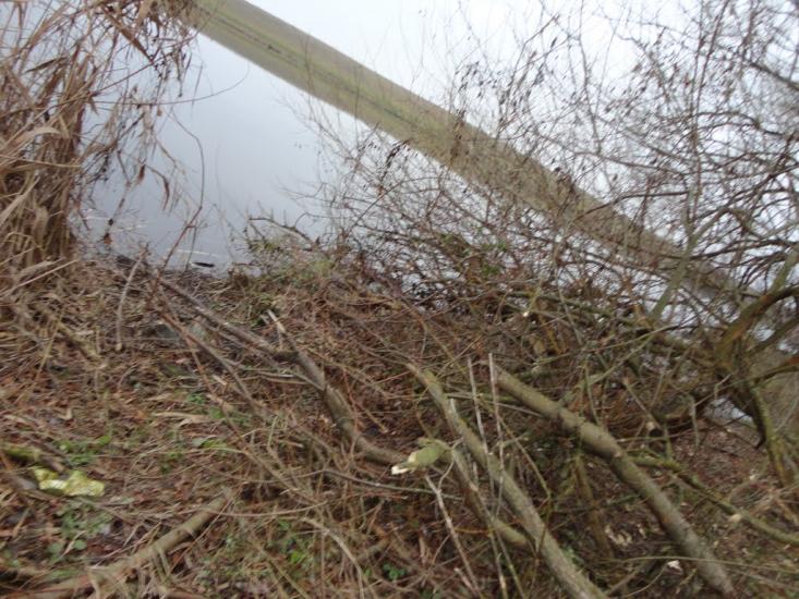 Меленці з panoramio.com - Меленці