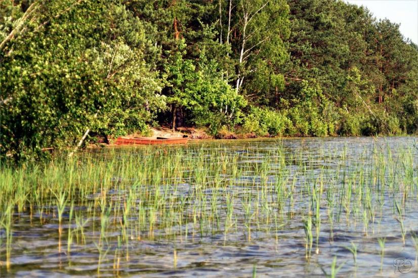 Мельники з panoramio.com - Мельники
