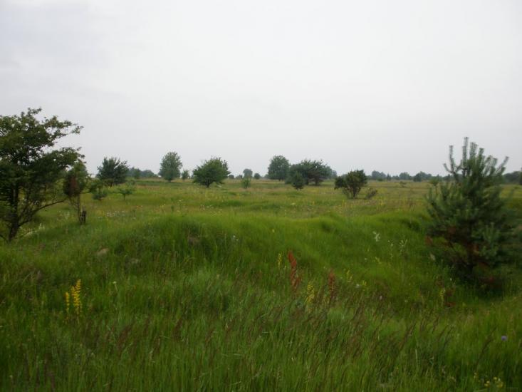 Римачі з panoramio.com - Рымачи