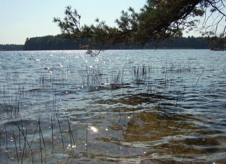 Затишшя з panoramio.com - Затишшя