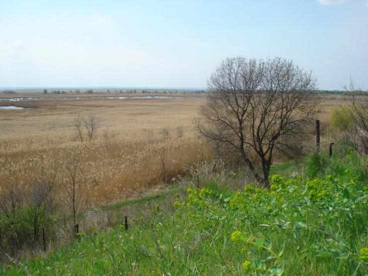 Маяки з panoramio.com - Маяки