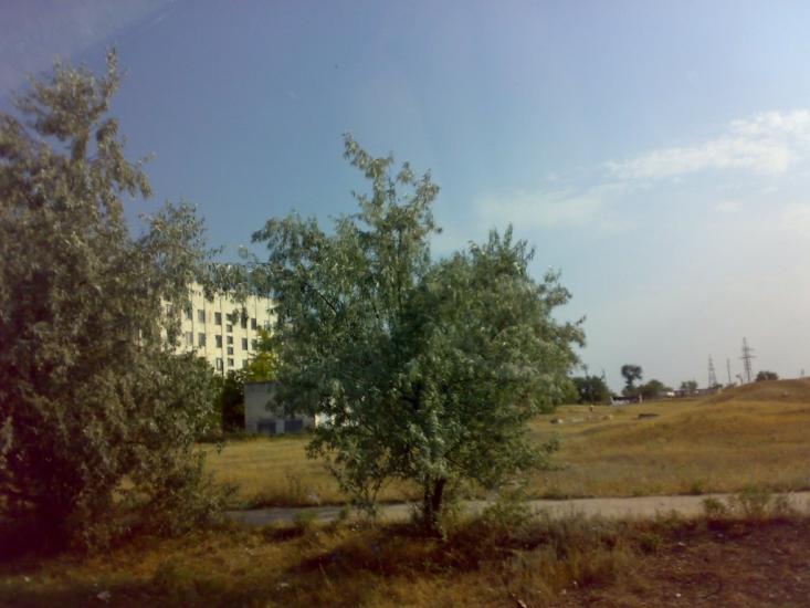 Амурське з panoramio.com - Амурское