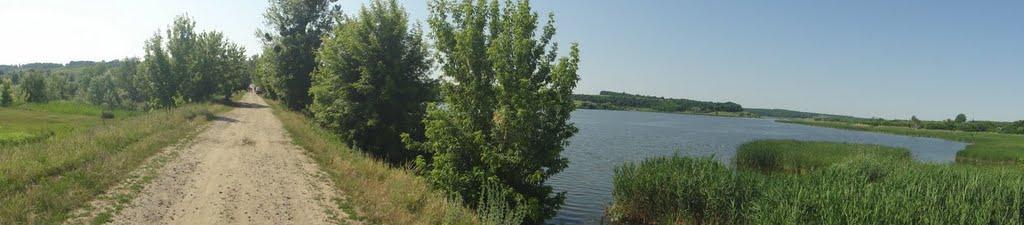 Дмитрівка з panoramio.com - Дмитровка
