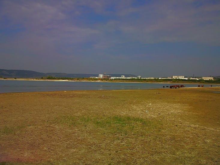 Дачне з panoramio.com - Дачное