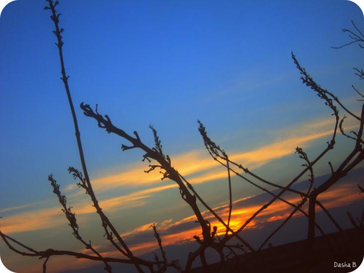 Дачне з panoramio.com - Dachne