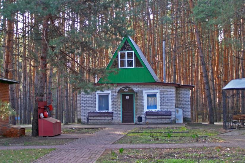 Риб'янцеве з panoramio.com - Рыбянцево