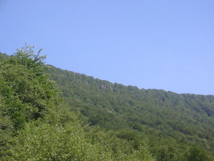 Княгиня з panoramio.com - Княгиня