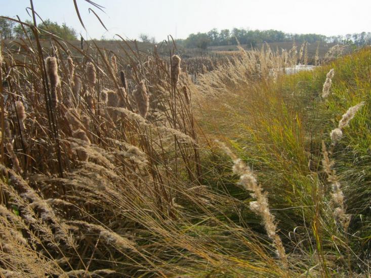 Промінь з panoramio.com - Проминь