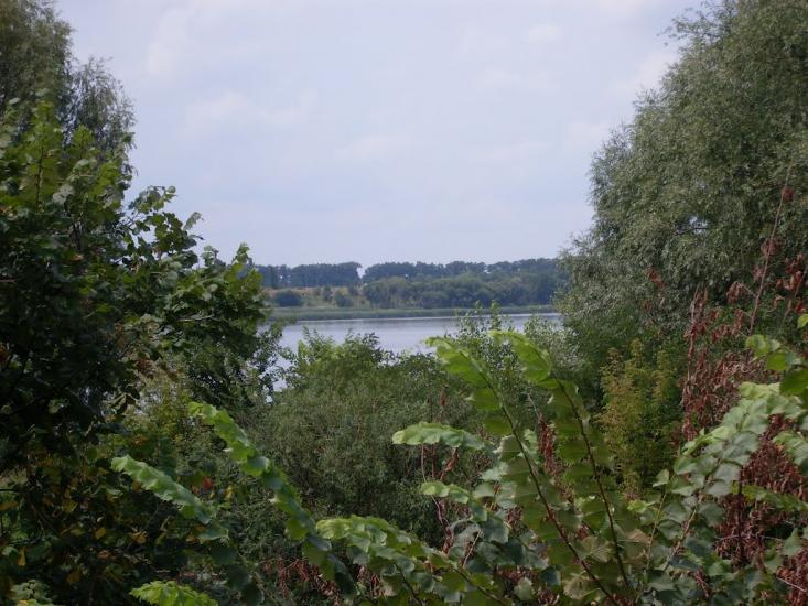 Засупоївка з panoramio.com - Засупоевка