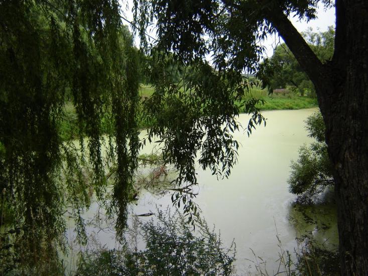 Вороніж з panoramio.com - Воронеж