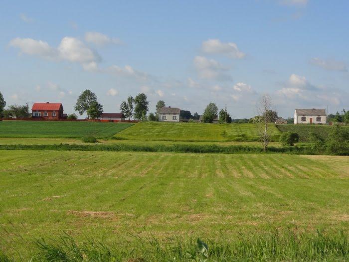Стаївка з panoramio.com - Стаївка