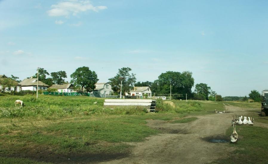 Дмитрівка з panoramio.com - Дмитрівка
