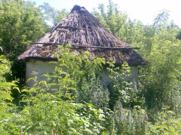 Криве Озеро з panoramio.com - Кривое Озеро