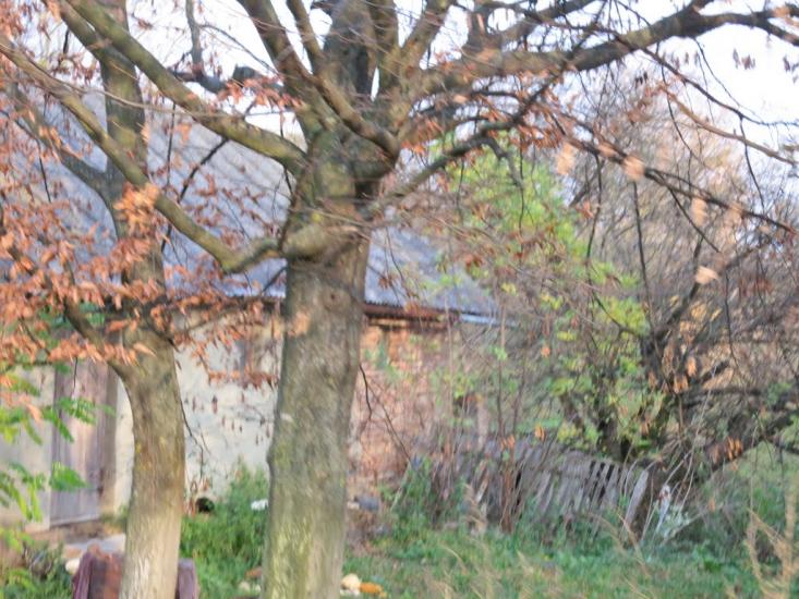 Підгірці з panoramio.com - Підгірці