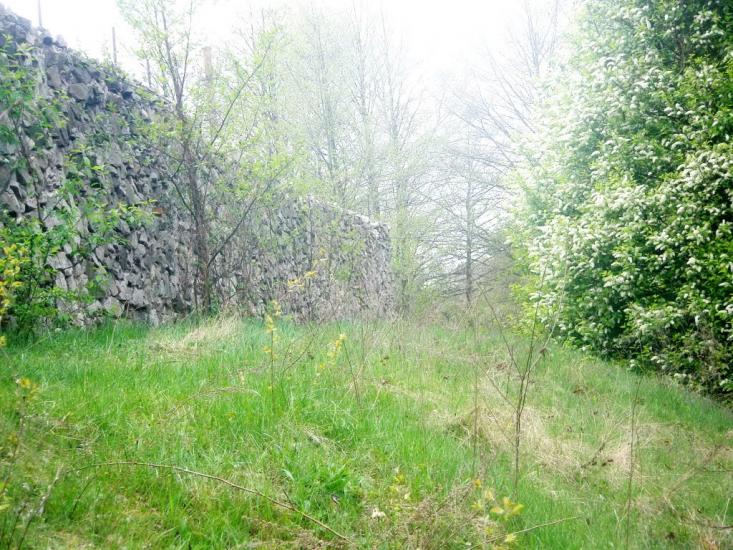 Олевськ з panoramio.com - Олевск