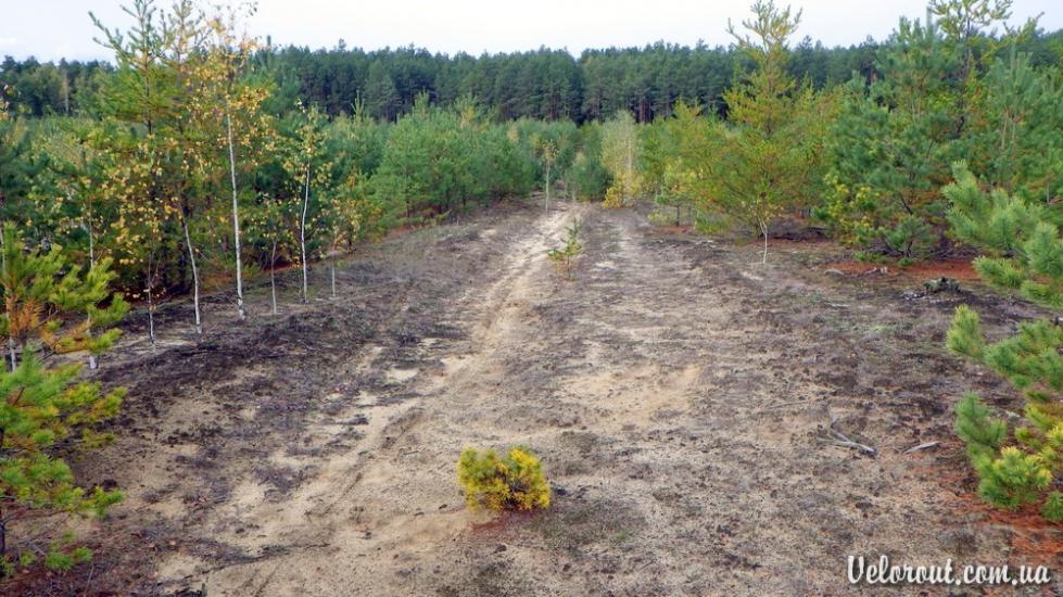 Дівошин з panoramio.com - Дівошин