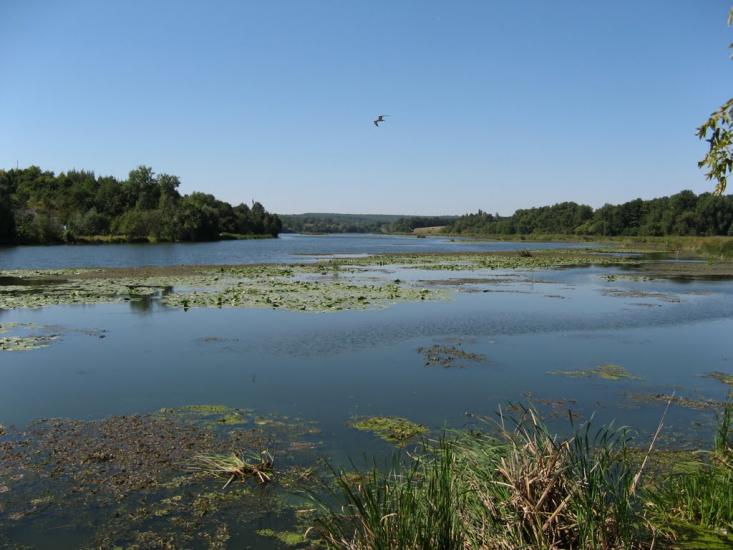 Сутиски з panoramio.com - Сутиски