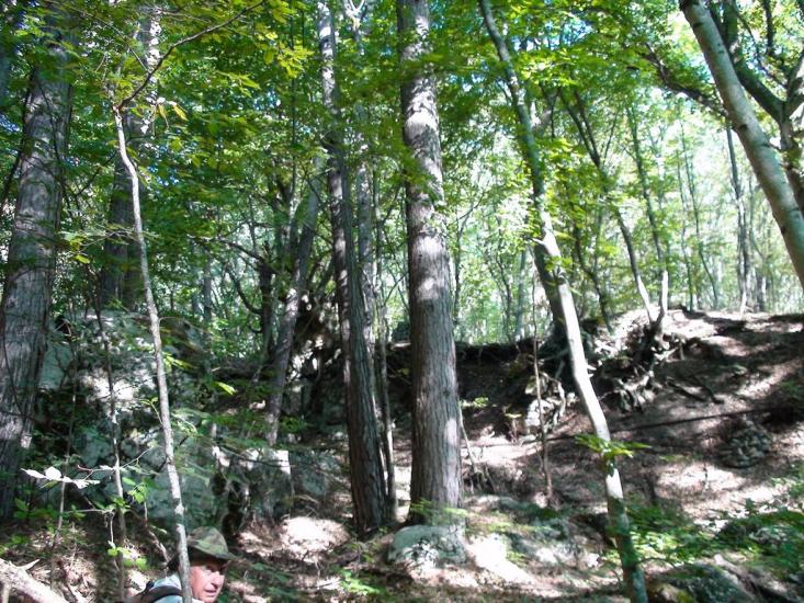 Польове з panoramio.com - Польове