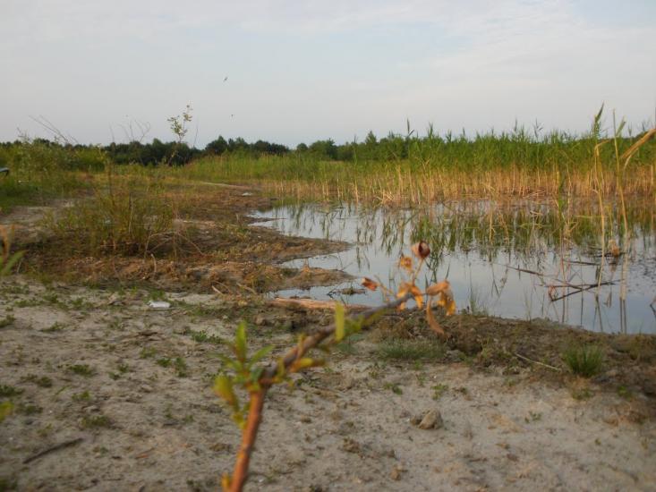 Римачі з panoramio.com - Рымачи