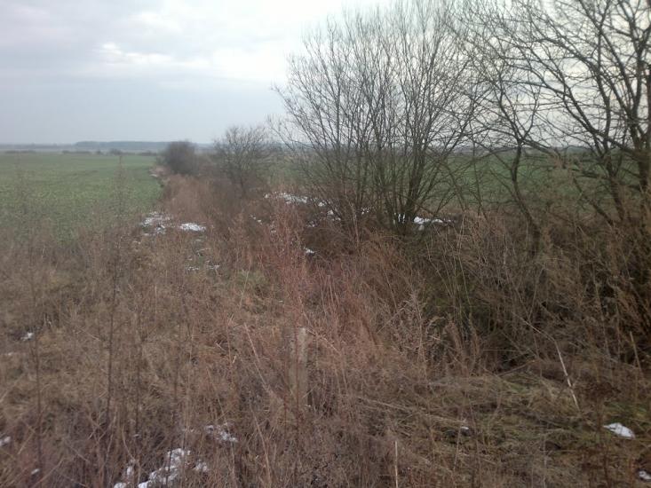 Містковичі з panoramio.com - Містковичі