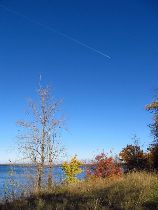 Зелений Гай з panoramio.com - Зеленый Гай