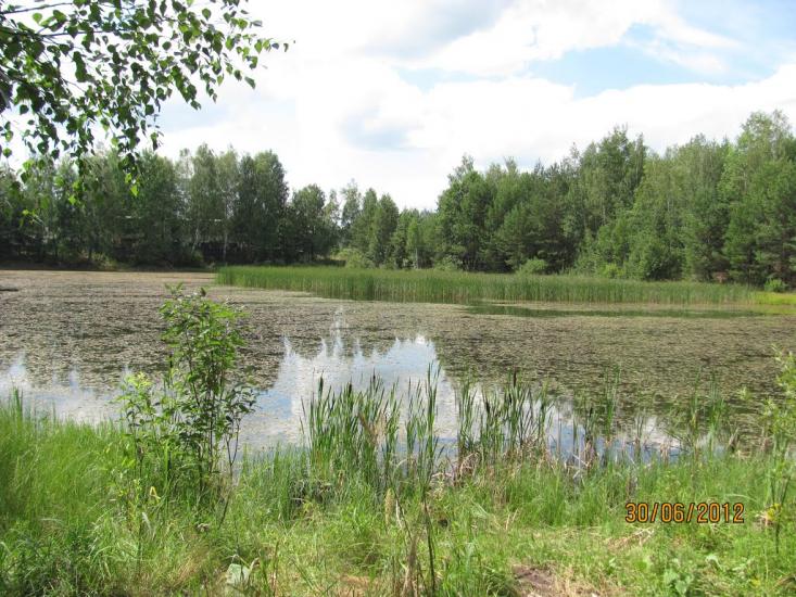 Добрянка з panoramio.com - Dobryanka