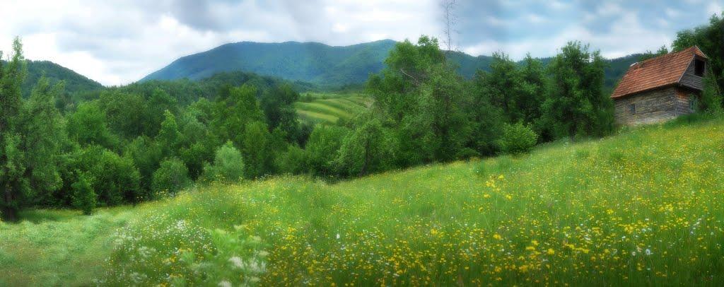 Буківцьово з panoramio.com - Буковцево