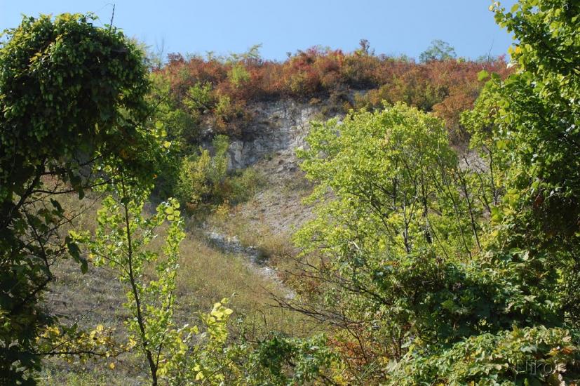 Співаківка з panoramio.com - Спеваковка