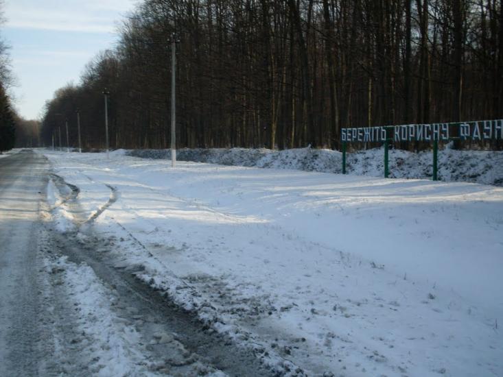 Привільне з panoramio.com - Привільне